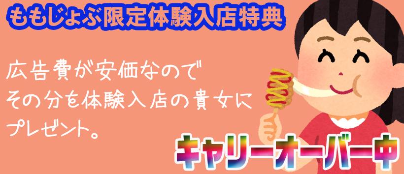プレイボールの求人