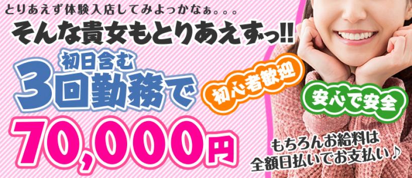 プレイボールの求人