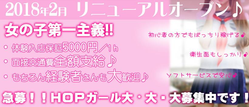 HOPの求人