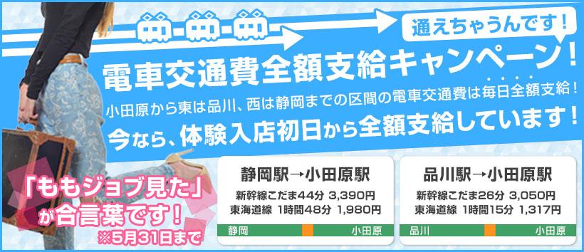 小田原人妻ファンクラブの求人