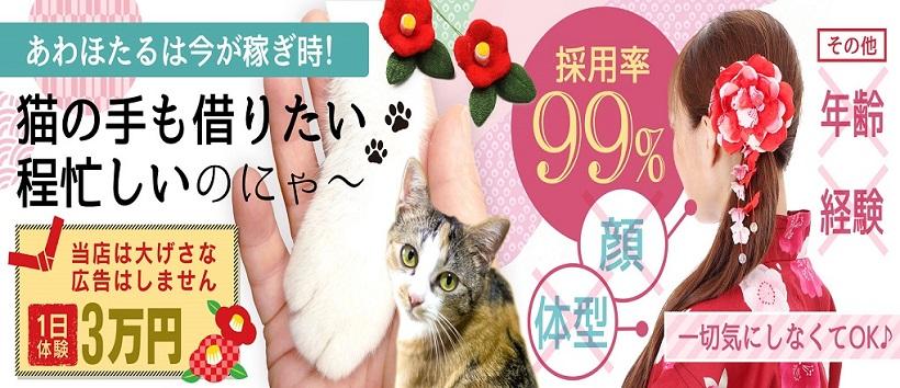 あわほたるの求人