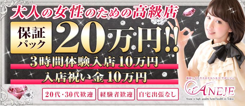 新宿アネージュの求人
