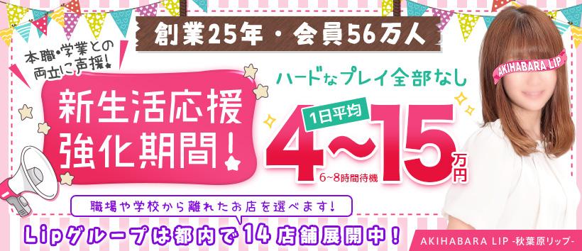 秋葉原LIPの求人