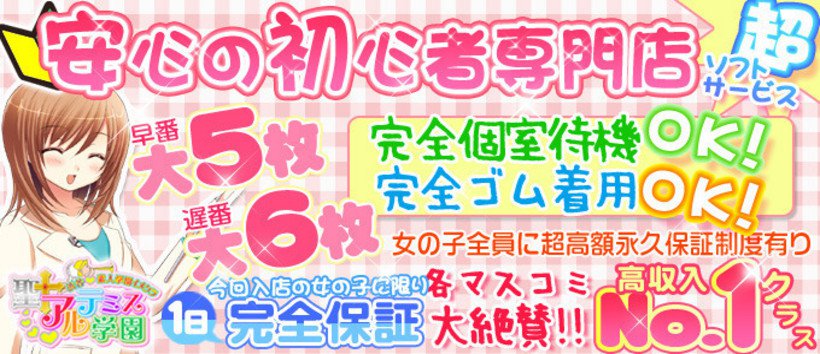 聖アルテミス学園の求人