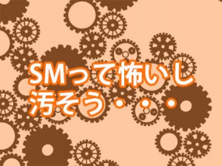 SMって怖いし、汚そう・・・