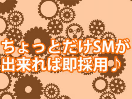 「ちょっとだけSM」が出来れば即採用♪