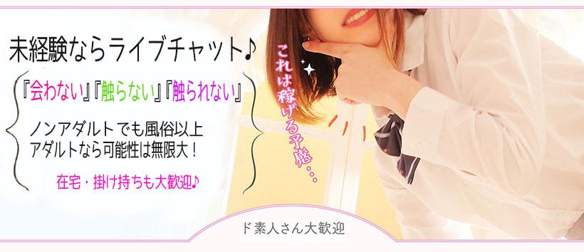 TDS 豊橋本店の求人