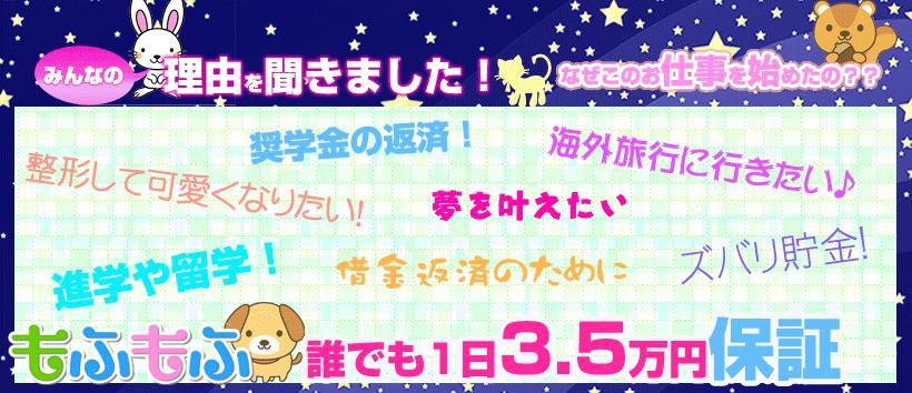 もふもふの求人