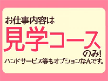 正統派見学店です!