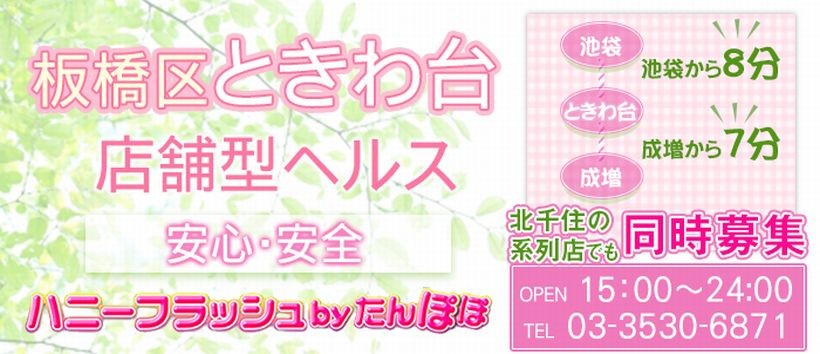 ハニーフラッシュbyたんぽぽの求人