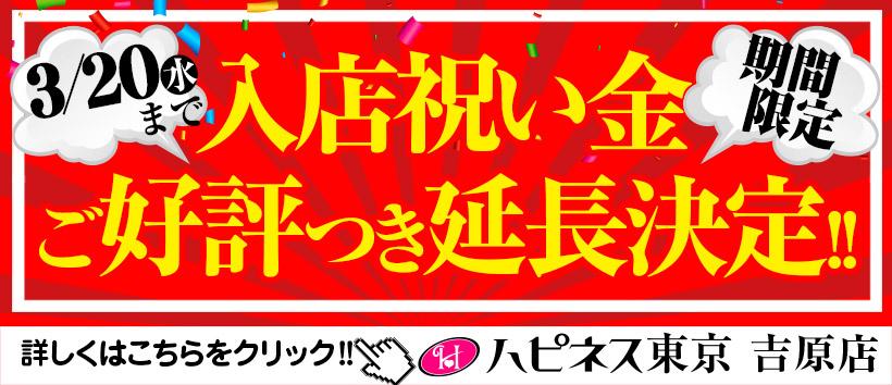 ハピネス東京吉原店の求人