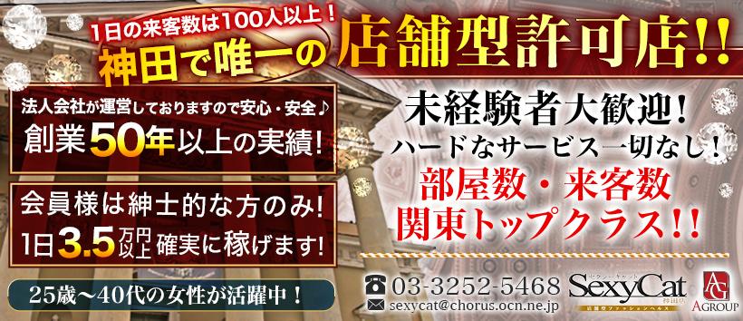 セクシーキャット神田店の求人