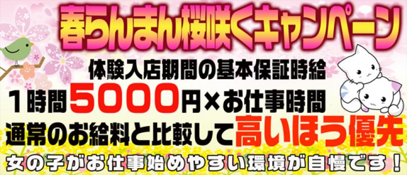 初めてさん専門店 波の上女学院の求人