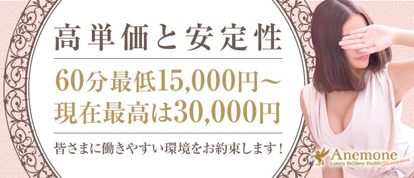 アネモネ Anemone 品川の求人