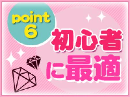 ソフトサービスなので初心者に最適