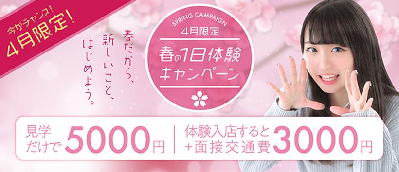 大阪はまちゃんの求人