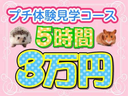 雰囲気だけでも感じてもらえればと思います♪