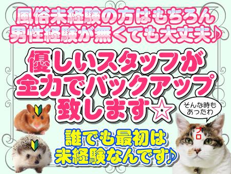 体験入店から始めてください♪