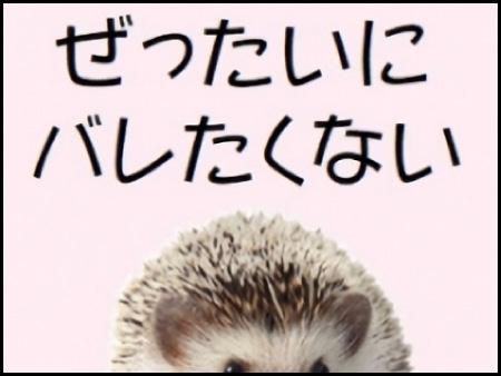 モザイク当たり前♪