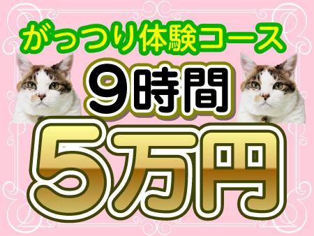 今のトレンドは体験入店から始めよう♪