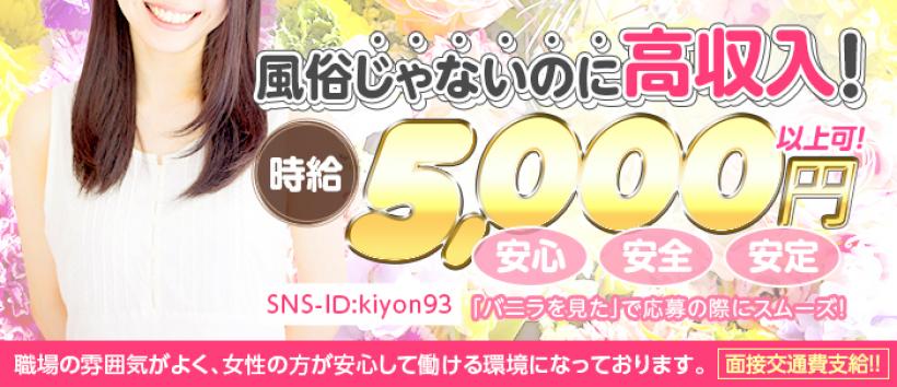 ヴェラールの求人