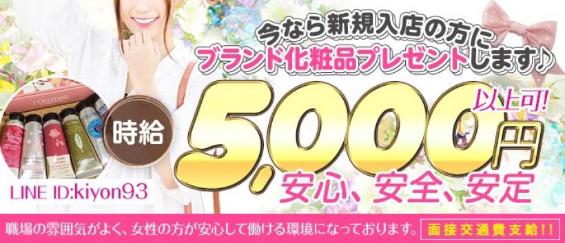 ヴェラールの求人