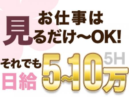 お仕事内容は見るだけでOKです!それでも日給は5〜10万円