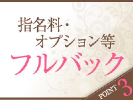 フルバックシステム!