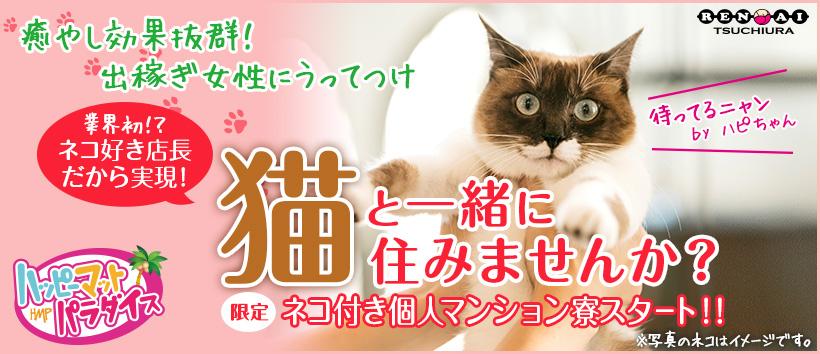土浦ハッピーマットパラダイスの求人