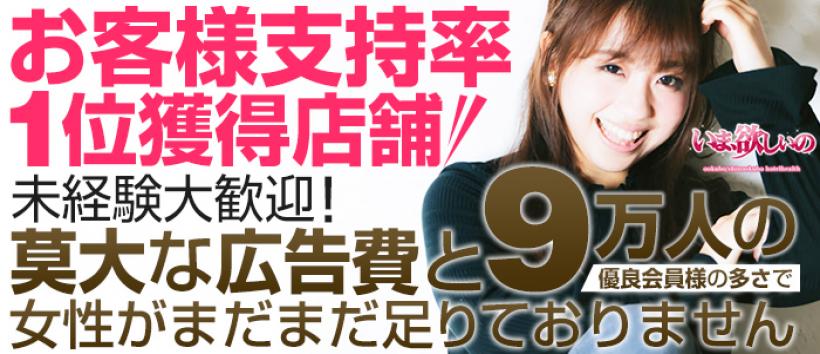 いま、欲しいのの求人