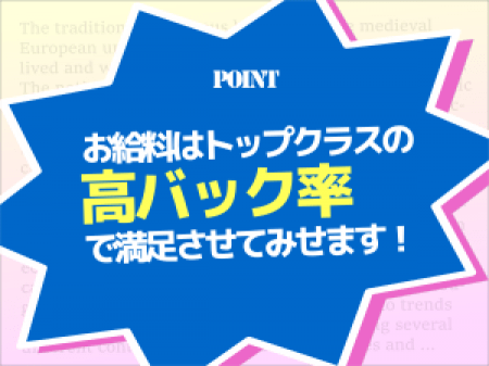 お給料は絶対に満足させてみせます!
