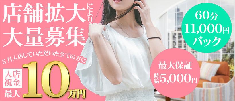 ウラ淑女の求人