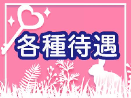 充実の待遇!