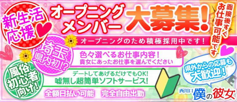 ぼくの彼女・・・の求人