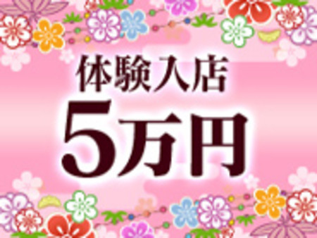 新人期間から稼げます!
