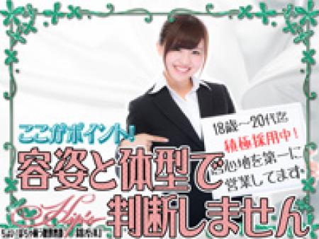 容姿・体型・スタイル一切不問!