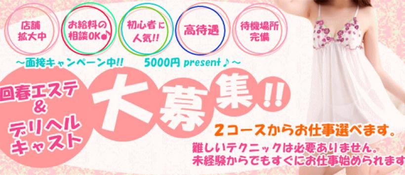 クラブトリップの求人