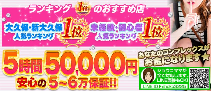貧乳パラダイスの求人