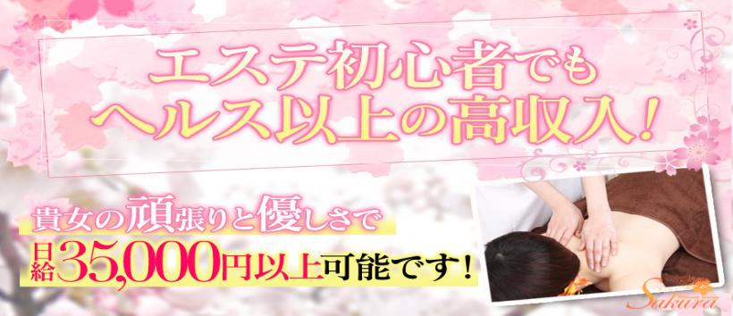 五感の癒し さくら