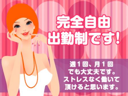 触らない・触られない!! 見せるだけのお仕事です。